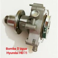 Bomba D'água do Hyundai HD80 3.0 16V Turbo Diesel-5801487722